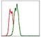 FAS antibody, GTX60559, GeneTex, Flow Cytometry image 