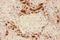BGP antibody, PA5-78868, Invitrogen Antibodies, Immunohistochemistry frozen image 