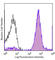 Lymphocyte antigen 6C2 antibody, 128007, BioLegend, Flow Cytometry image 