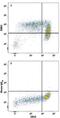 Adhesion G Protein-Coupled Receptor E3 antibody, MAB8496, R&D Systems, Flow Cytometry image 