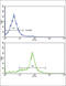 Growth Differentiation Factor 6 antibody, abx033429, Abbexa, Flow Cytometry image 