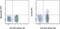 C-C Motif Chemokine Receptor 5 (Gene/Pseudogene) antibody, 17-1956-42, Invitrogen Antibodies, Flow Cytometry image 