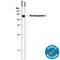 Thrombospondin 4 antibody, AF2390, R&D Systems, Western Blot image 