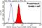 Synuclein Beta antibody, 10498-1-AP, Proteintech Group, Flow Cytometry image 