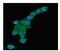 RAB5A, Member RAS Oncogene Family antibody, M01891-1, Boster Biological Technology, Immunofluorescence image 