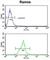 Membrane Metalloendopeptidase antibody, abx033331, Abbexa, Western Blot image 