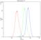 Catenin Alpha 1 antibody, A01617-Dyl488, Boster Biological Technology, Flow Cytometry image 