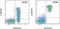 Lymphocyte Antigen 6 Family Member D antibody, 12-5974-80, Invitrogen Antibodies, Flow Cytometry image 