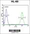 WD Repeat Domain 93 antibody, 55-882, ProSci, Flow Cytometry image 