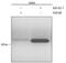 GLI Family Zinc Finger 1 antibody, PA5-47478, Invitrogen Antibodies, Chromatin Immunoprecipitation image 