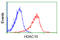 Histone Deacetylase 10 antibody, GTX84387, GeneTex, Flow Cytometry image 