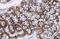Jun Proto-Oncogene, AP-1 Transcription Factor Subunit antibody, GTX133873, GeneTex, Immunohistochemistry paraffin image 