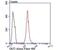 O-Linked N-Acetylglucosamine (GlcNAc) Transferase antibody, NBP2-75601, Novus Biologicals, Flow Cytometry image 