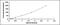 Statherin antibody, OKCD01119, Aviva Systems Biology, Enzyme Linked Immunosorbent Assay image 