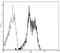Integrin Subunit Alpha L antibody, 14-0119-80, Invitrogen Antibodies, Flow Cytometry image 