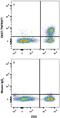CD27 Molecule antibody, FAB382A, R&D Systems, Flow Cytometry image 