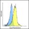 Hepatitis A Virus Cellular Receptor 2 antibody, RF16105, ProSci Inc, Flow Cytometry image 