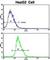 Phosphatidylinositol-4,5-Bisphosphate 3-Kinase Catalytic Subunit Alpha antibody, abx033723, Abbexa, Western Blot image 