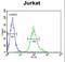 G Protein Subunit Beta 1 antibody, LS-C166556, Lifespan Biosciences, Flow Cytometry image 