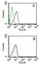 Rho GDP Dissociation Inhibitor Beta antibody, NB100-56725, Novus Biologicals, Flow Cytometry image 