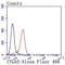 Integrin Subunit Alpha 5 antibody, NBP2-67883, Novus Biologicals, Flow Cytometry image 