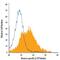 Tubulin Beta 3 Class III antibody, IC1195A, R&D Systems, Flow Cytometry image 