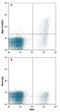 Sialic Acid Binding Ig Like Lectin 6 antibody, FAB2859P, R&D Systems, Flow Cytometry image 