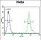 Leucine Rich Repeat Containing 45 antibody, PA5-35045, Invitrogen Antibodies, Flow Cytometry image 