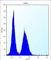 DNA Damage Inducible Transcript 3 antibody, abx027183, Abbexa, Western Blot image 