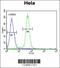 Alanine--Glyoxylate Aminotransferase 2 antibody, 64-139, ProSci, Flow Cytometry image 