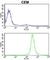 IMMT antibody, abx031803, Abbexa, Western Blot image 