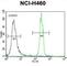 Xylosyltransferase 1 antibody, abx027011, Abbexa, Western Blot image 