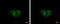 Inner Membrane Mitochondrial Protein antibody, GTX115523, GeneTex, Immunofluorescence image 