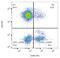 Neural Cell Adhesion Molecule 1 antibody, GTX78308, GeneTex, Flow Cytometry image 