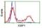 Immunoglobulin Binding Protein 1 antibody, NBP2-02560, Novus Biologicals, Flow Cytometry image 