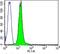 Calcium Voltage-Gated Channel Auxiliary Subunit Alpha2delta 1 antibody, NB120-2864, Novus Biologicals, Flow Cytometry image 