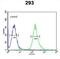 Syntaxin 1A antibody, abx034527, Abbexa, Flow Cytometry image 