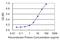 Egl-9 Family Hypoxia Inducible Factor 2 antibody, H00112398-M01, Novus Biologicals, Enzyme Linked Immunosorbent Assay image 