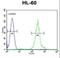 FA Complementation Group C antibody, LS-C166044, Lifespan Biosciences, Flow Cytometry image 