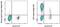 CD5 Molecule antibody, 63-0058-42, Invitrogen Antibodies, Flow Cytometry image 