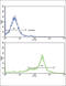 Caveolin 3 antibody, abx032841, Abbexa, Flow Cytometry image 