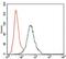 CD5 Molecule antibody, GTX60631, GeneTex, Flow Cytometry image 