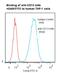 CD13 antibody, LS-C134290, Lifespan Biosciences, Flow Cytometry image 