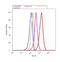 Catalase antibody, LF-MA0004, Invitrogen Antibodies, Flow Cytometry image 