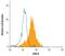 Junction Adhesion Molecule Like antibody, MAB34491, R&D Systems, Flow Cytometry image 