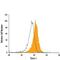 Twist Family BHLH Transcription Factor 1 antibody, IC6230A, R&D Systems, Flow Cytometry image 