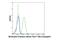 Elastase, Neutrophil Expressed antibody, 39680S, Cell Signaling Technology, Flow Cytometry image 