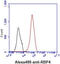 Retinol Binding Protein 4 antibody, GTX57569, GeneTex, Flow Cytometry image 