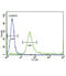 Insulin Like Growth Factor Binding Protein 4 antibody, abx033082, Abbexa, Flow Cytometry image 