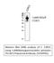 Calcium/Calmodulin Dependent Protein Kinase II Beta antibody, A03964T287, Boster Biological Technology, Western Blot image 